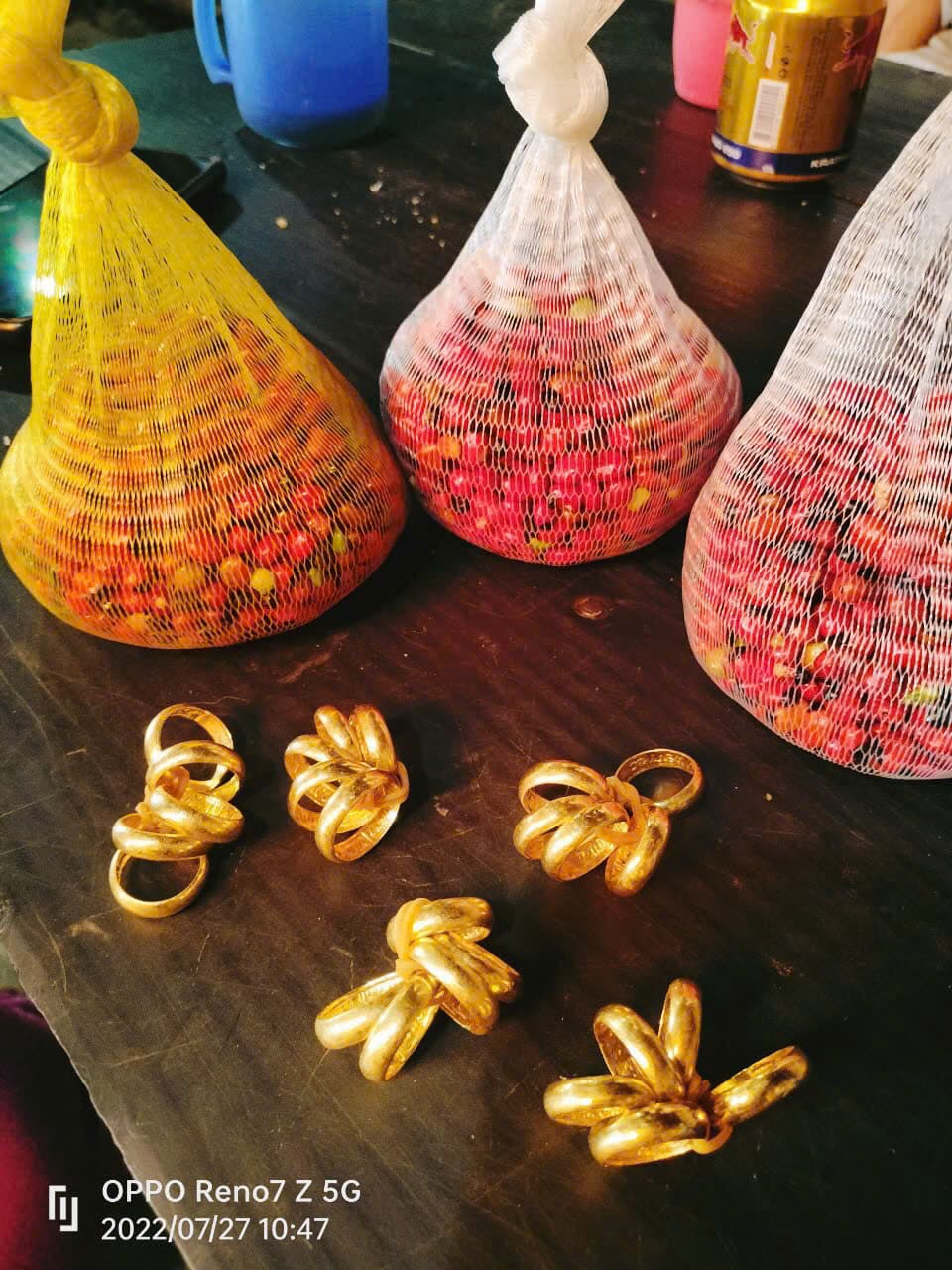 Hạt Sâm Ngọc Linh